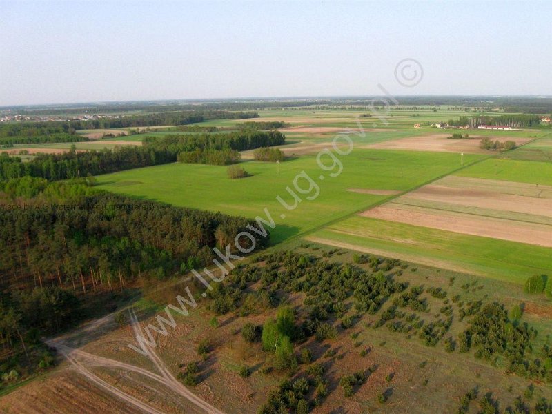 Lazy TSSE foto_7.jpg